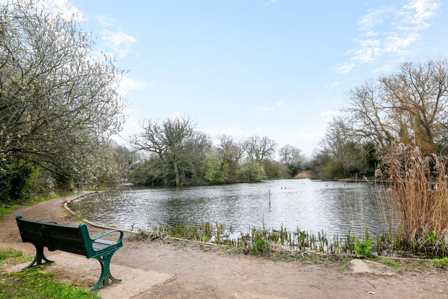 Macmillan Way, London