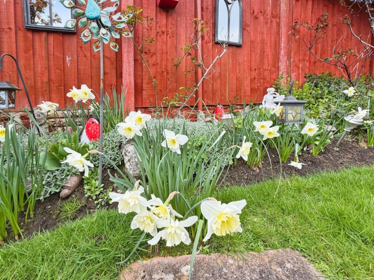 Grindley Gardens, Ellesmere Port