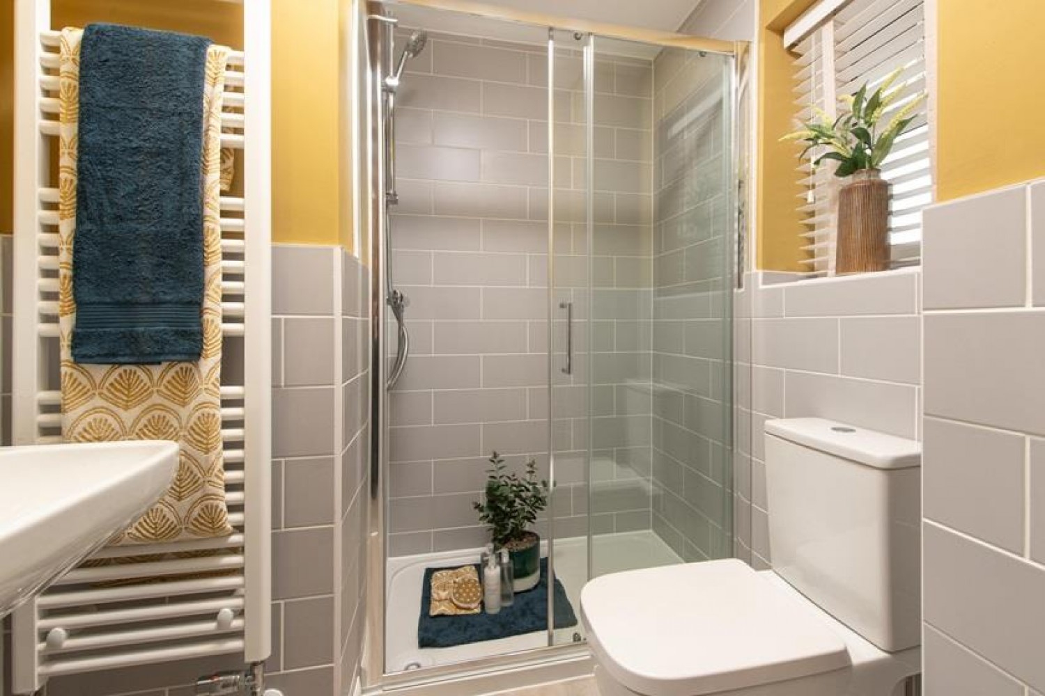 Watery Lane, Curborough Fields, Lichfield