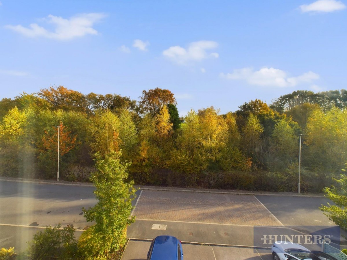 Bramble Way, Scarborough