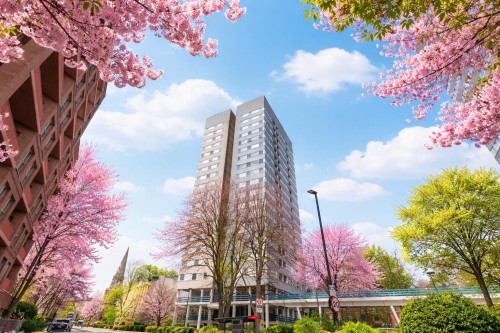 Snowman House, Abbey Road, London, NW6