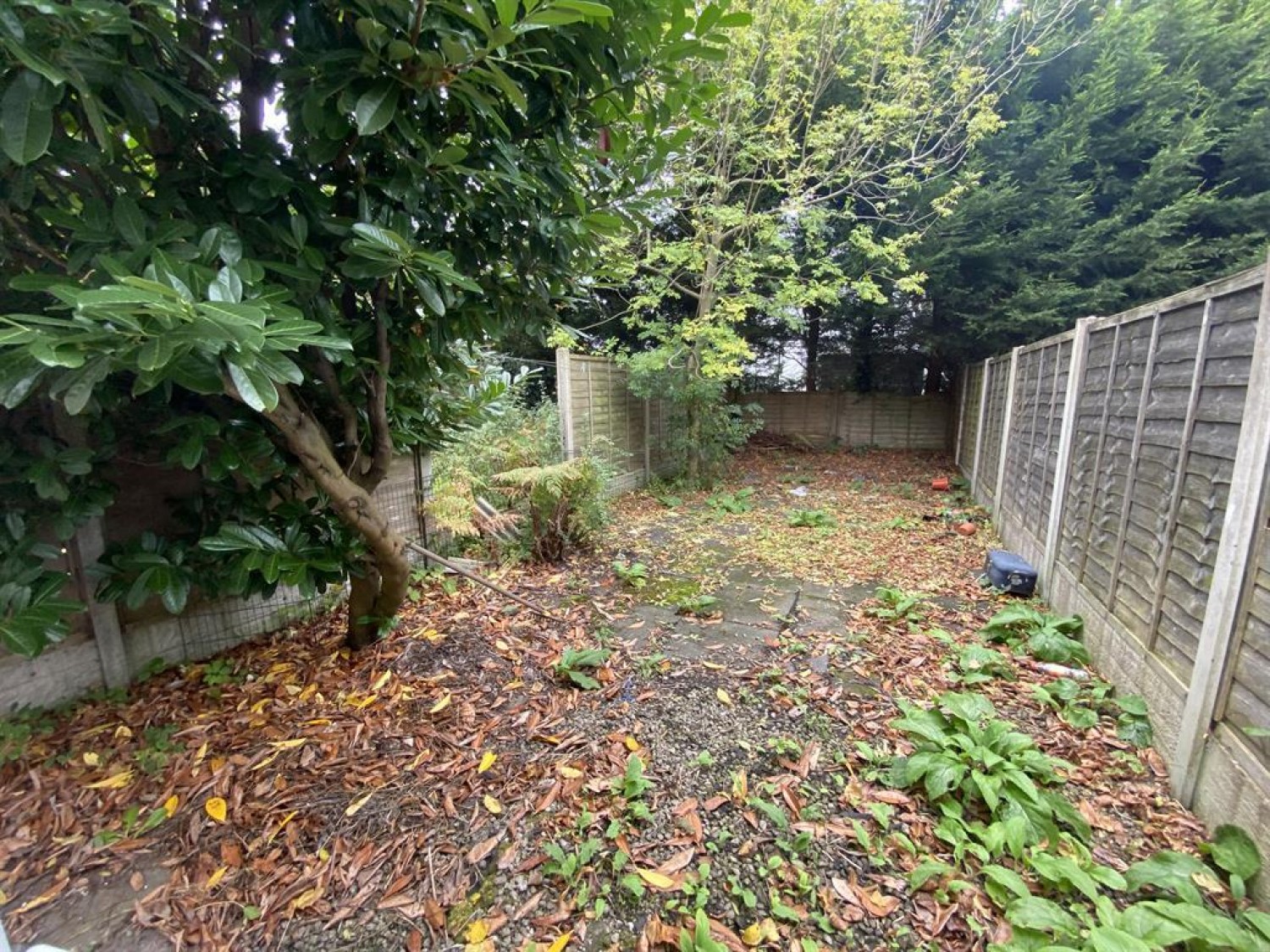 Harborne Park Road, Birmingham, B17 0DE