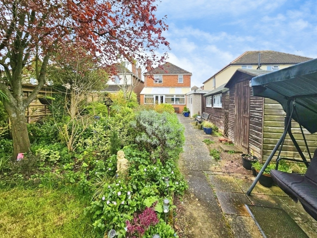 Box Road Avenue, Cam