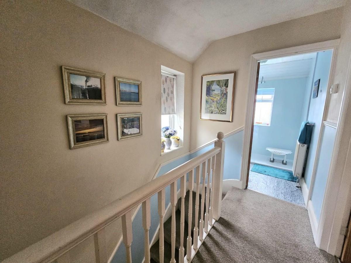 Box Road Avenue, Cam