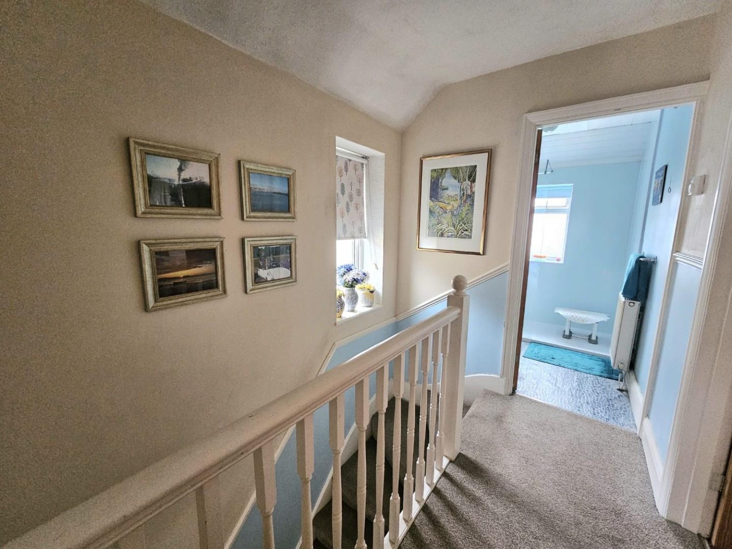 Box Road Avenue, Cam