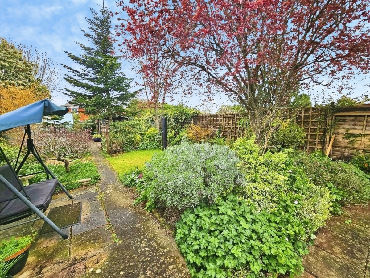 Box Road Avenue, Cam