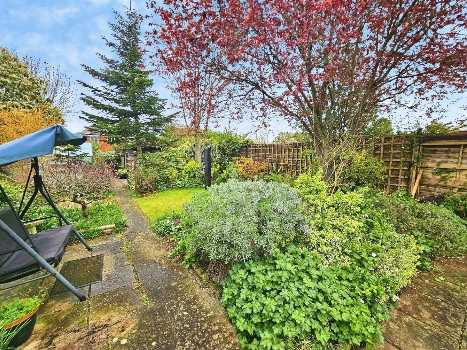 Box Road Avenue, Cam