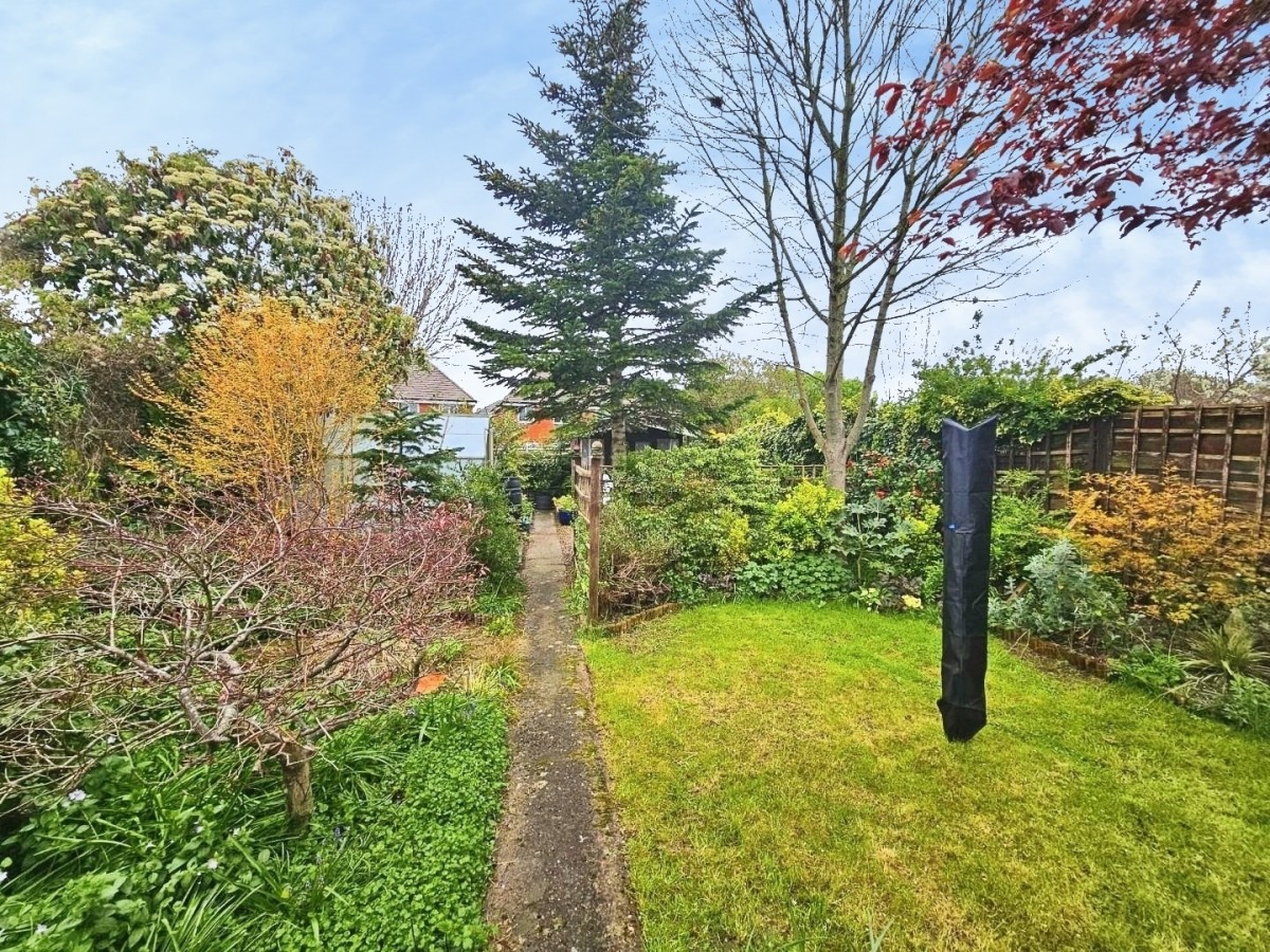 Box Road Avenue, Cam