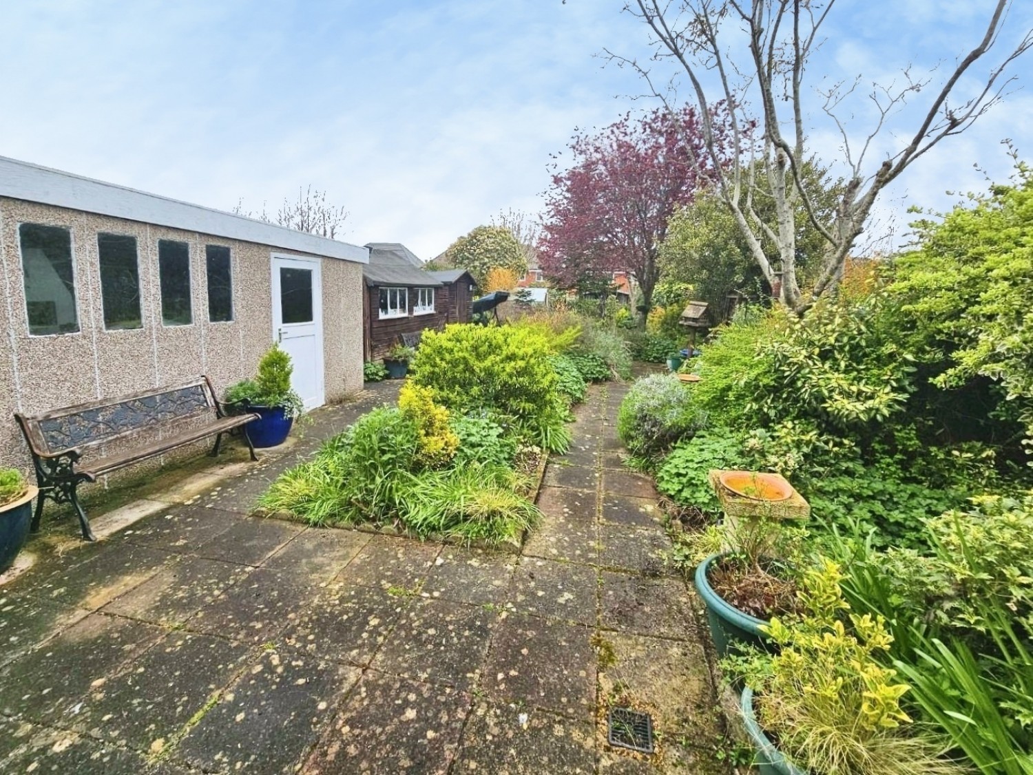 Box Road Avenue, Cam