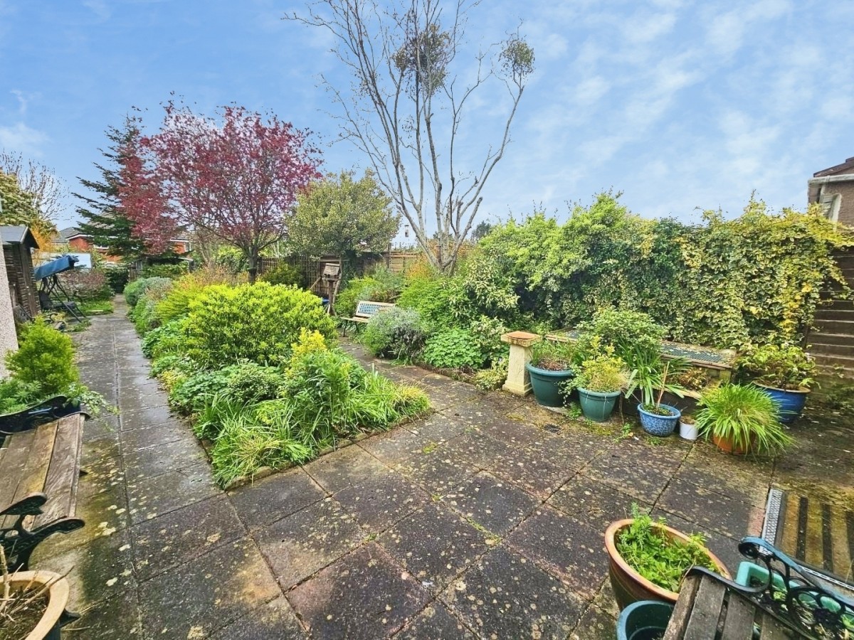 Box Road Avenue, Cam