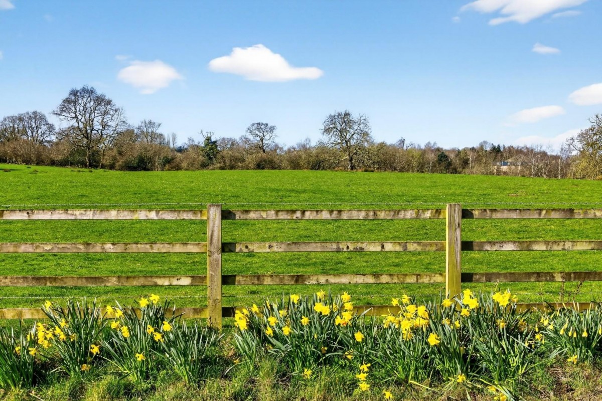 Clint Terrace, Shaw Mills, Harrogate
