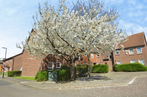 Harper Road, London E6 5PZ