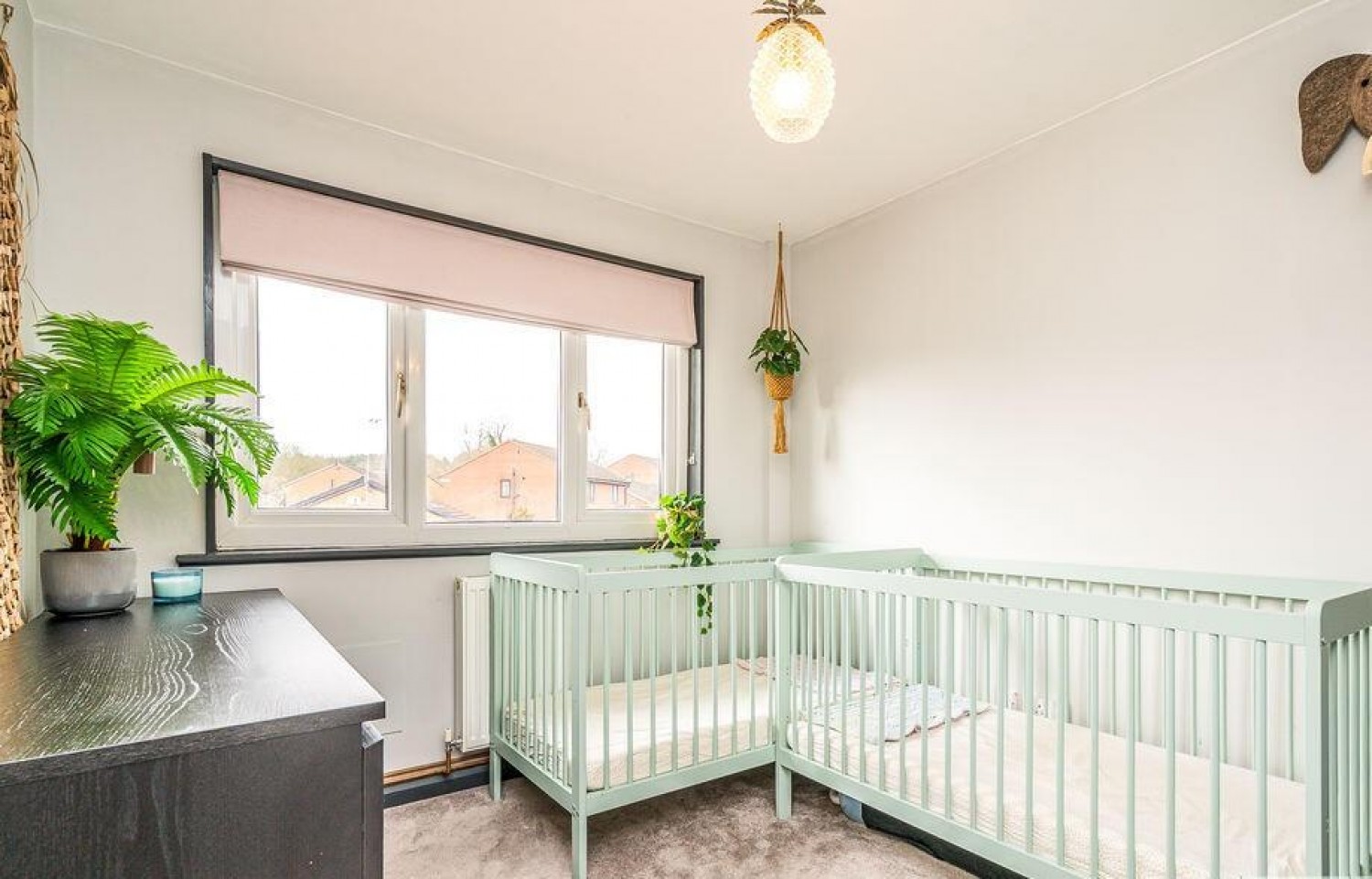 Eavestone Grove, Harrogate