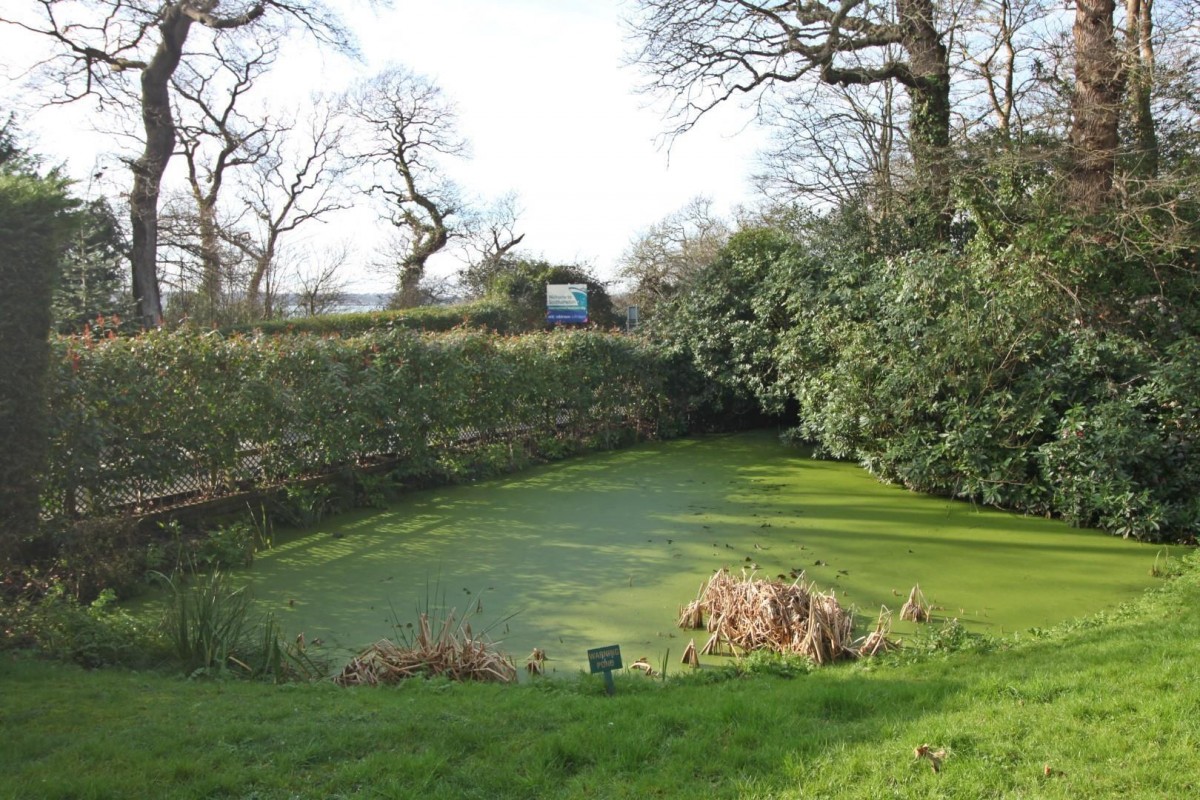 17 Abbey Hill, Netley Abbey, Southampton