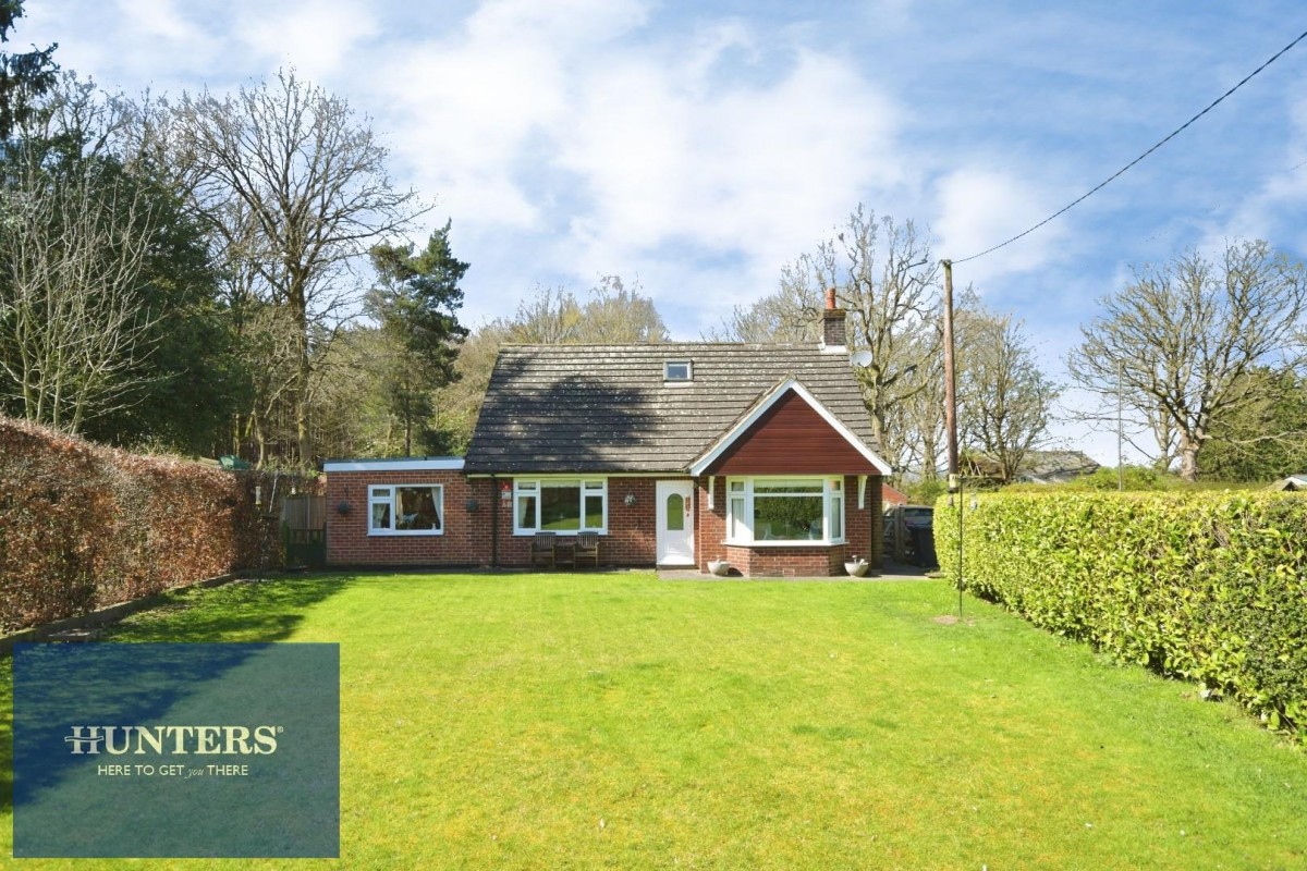 Sutton Spring Wood, Temple Normanton, Chesterfield, S42 5DT