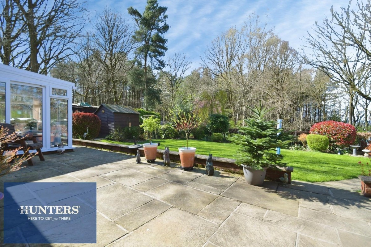 Sutton Spring Wood, Temple Normanton, Chesterfield, S42 5DT