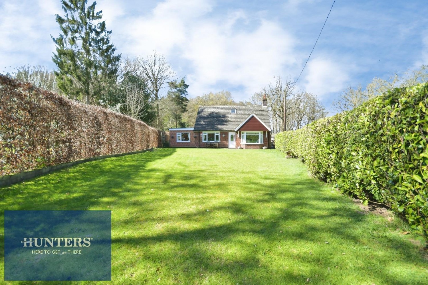 Sutton Spring Wood, Temple Normanton, Chesterfield, S42 5DT