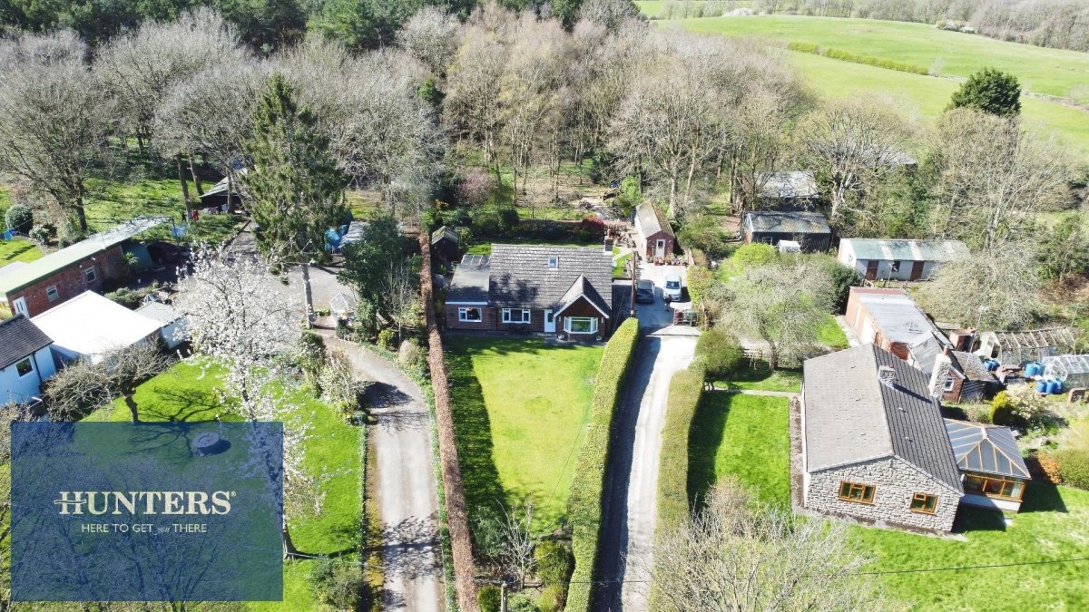 Sutton Spring Wood, Temple Normanton, Chesterfield, S42 5DT