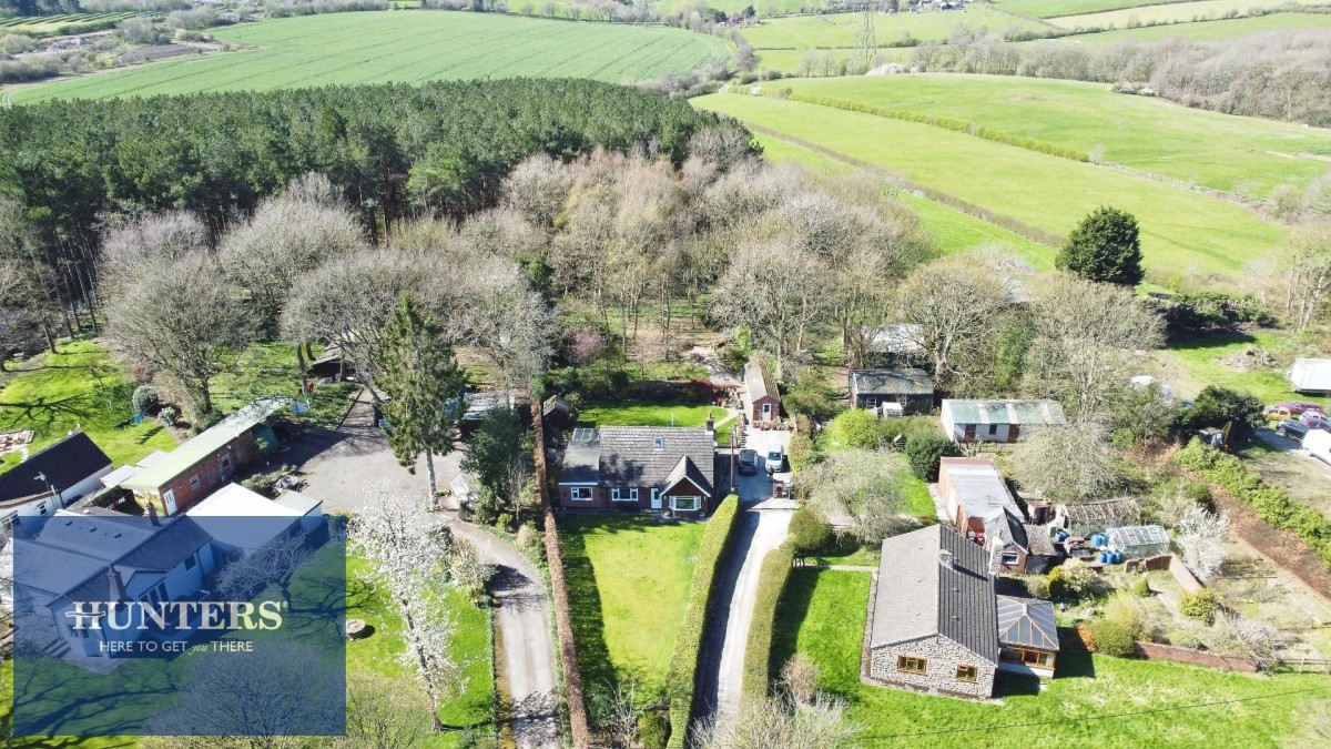 Sutton Spring Wood, Temple Normanton, Chesterfield, S42 5DT