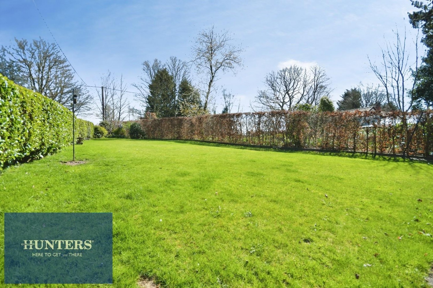 Sutton Spring Wood, Temple Normanton, Chesterfield, S42 5DT