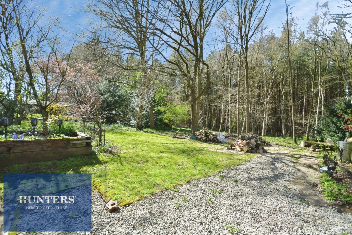 Sutton Spring Wood, Temple Normanton, Chesterfield, S42 5DT