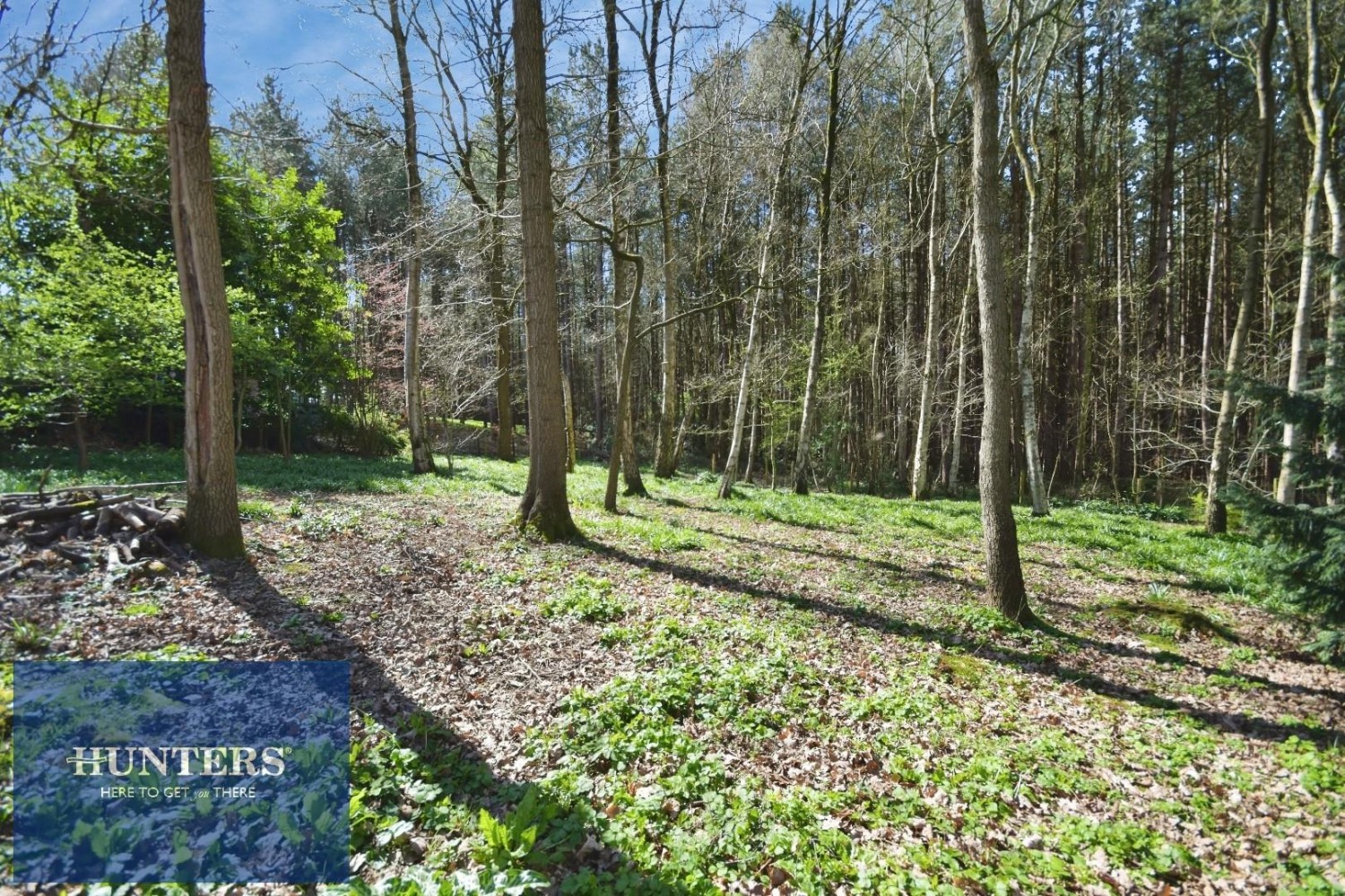 Sutton Spring Wood, Temple Normanton, Chesterfield, S42 5DT