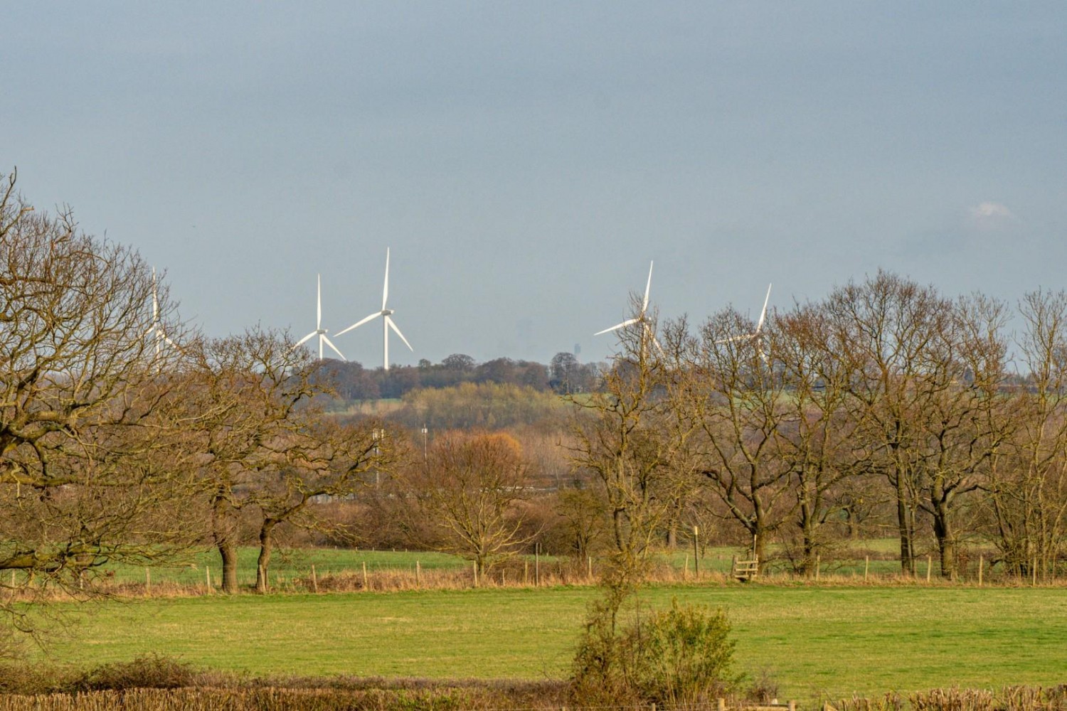 Martingale Fold, Barwick In Elmet, Leeds