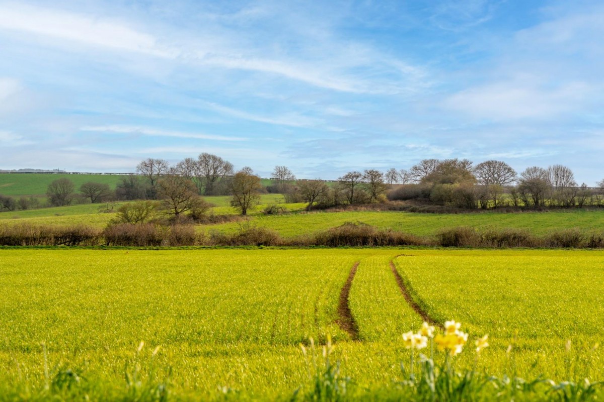 Martingale Fold, Barwick In Elmet, Leeds