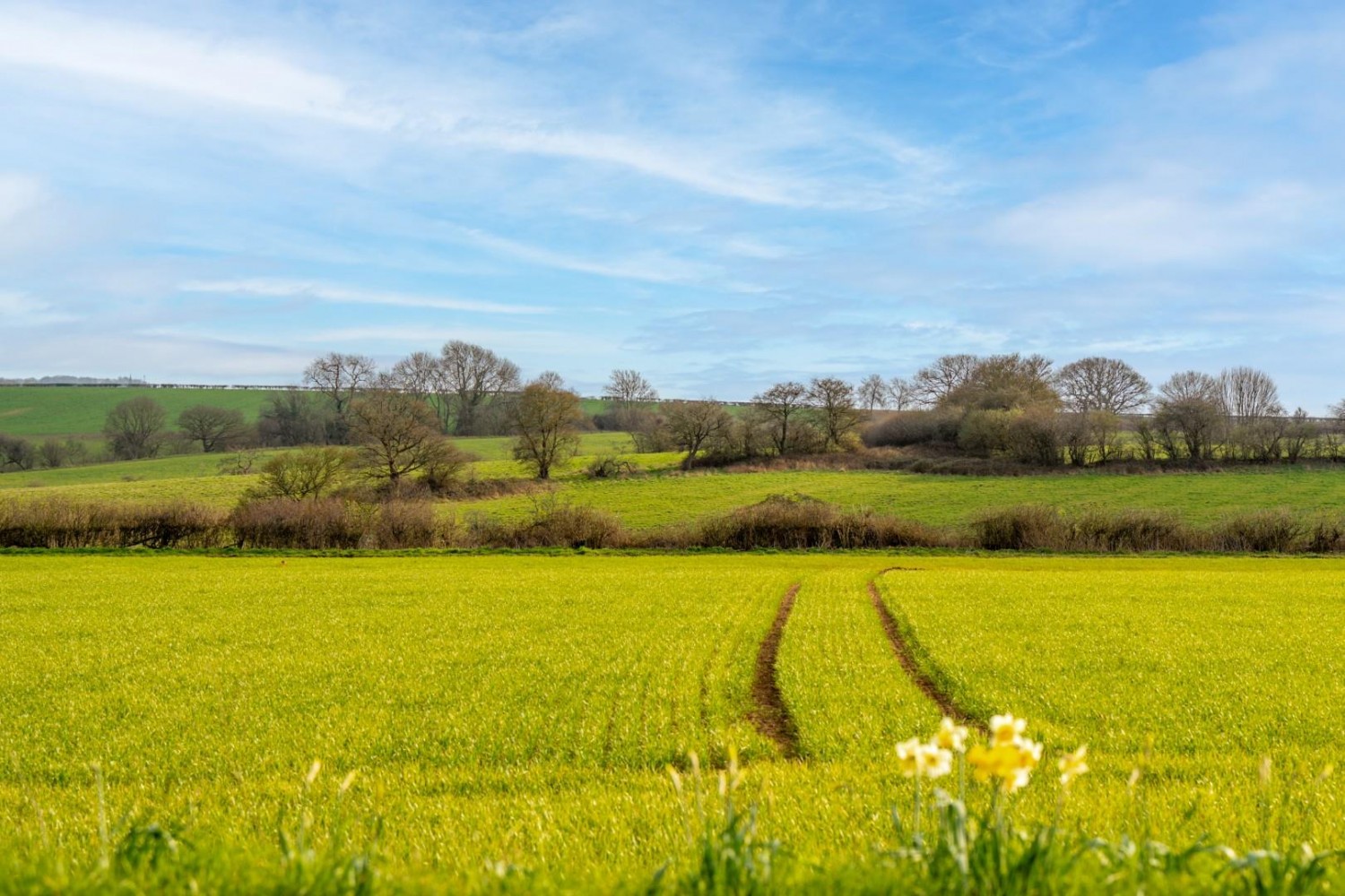 Martingale Fold, Barwick In Elmet, Leeds