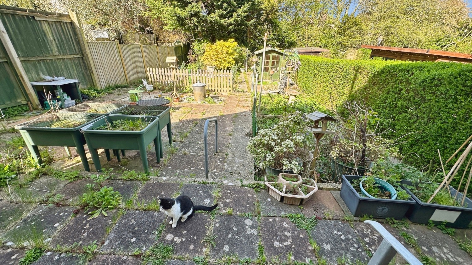 Beechen Drive, Bristol