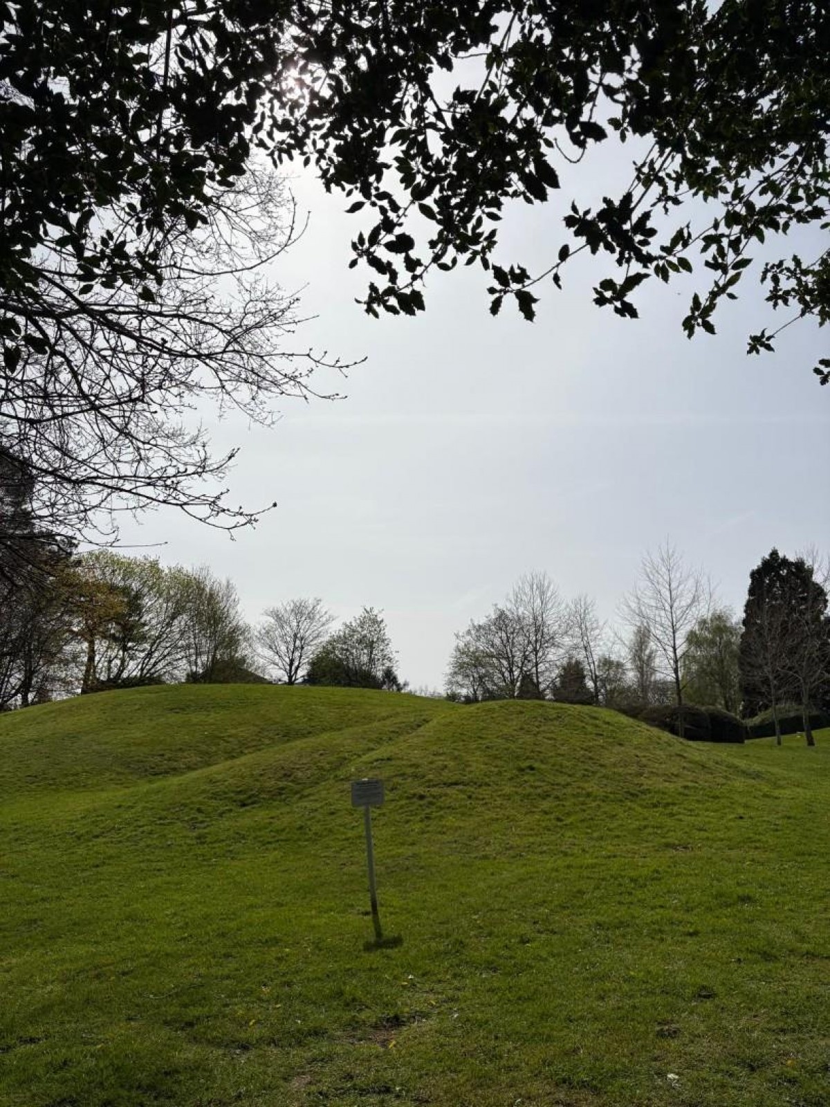 Niall Close, Birmingham, B15 3LU