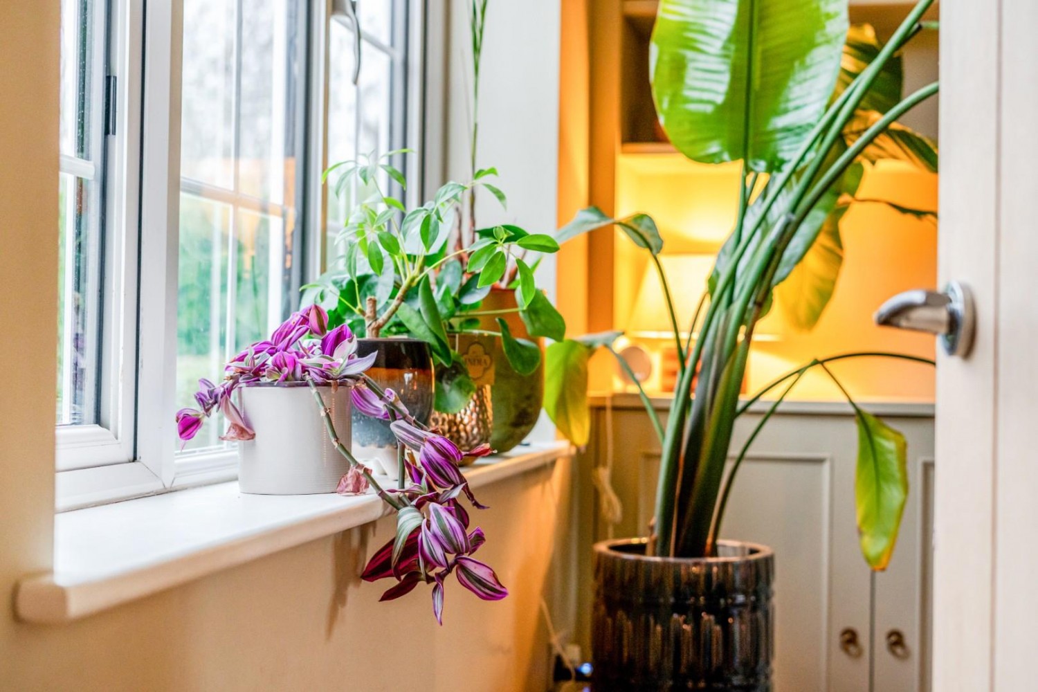 Third Avenue, Wetherby