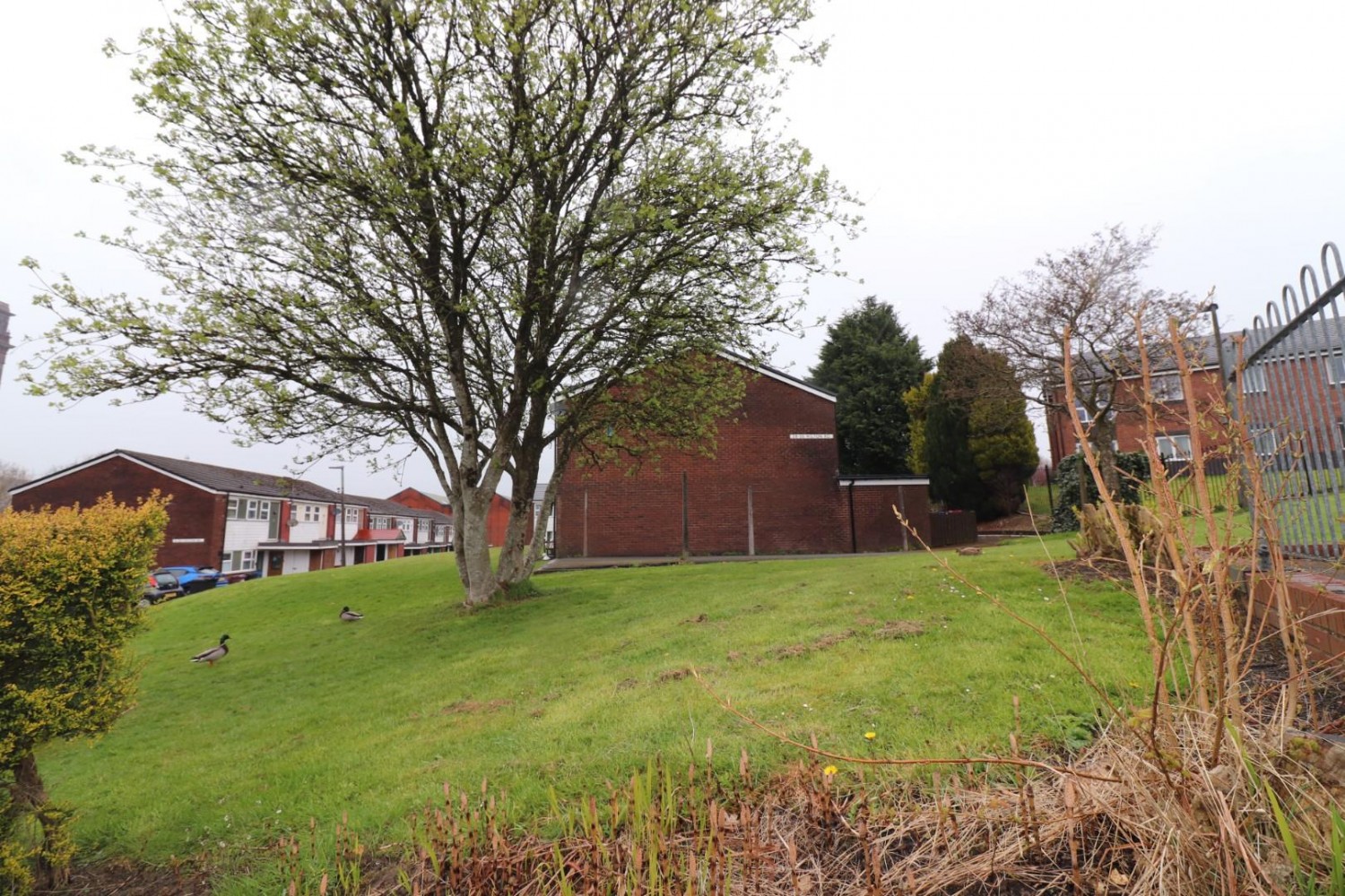 Hilton Road, Darwen, BB3 2DY