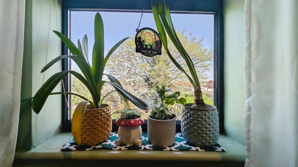 Ridgeway Road, Bristol