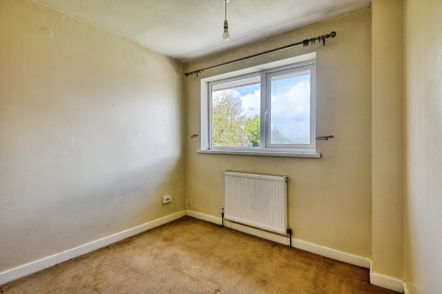 Greenheart, Tamworth