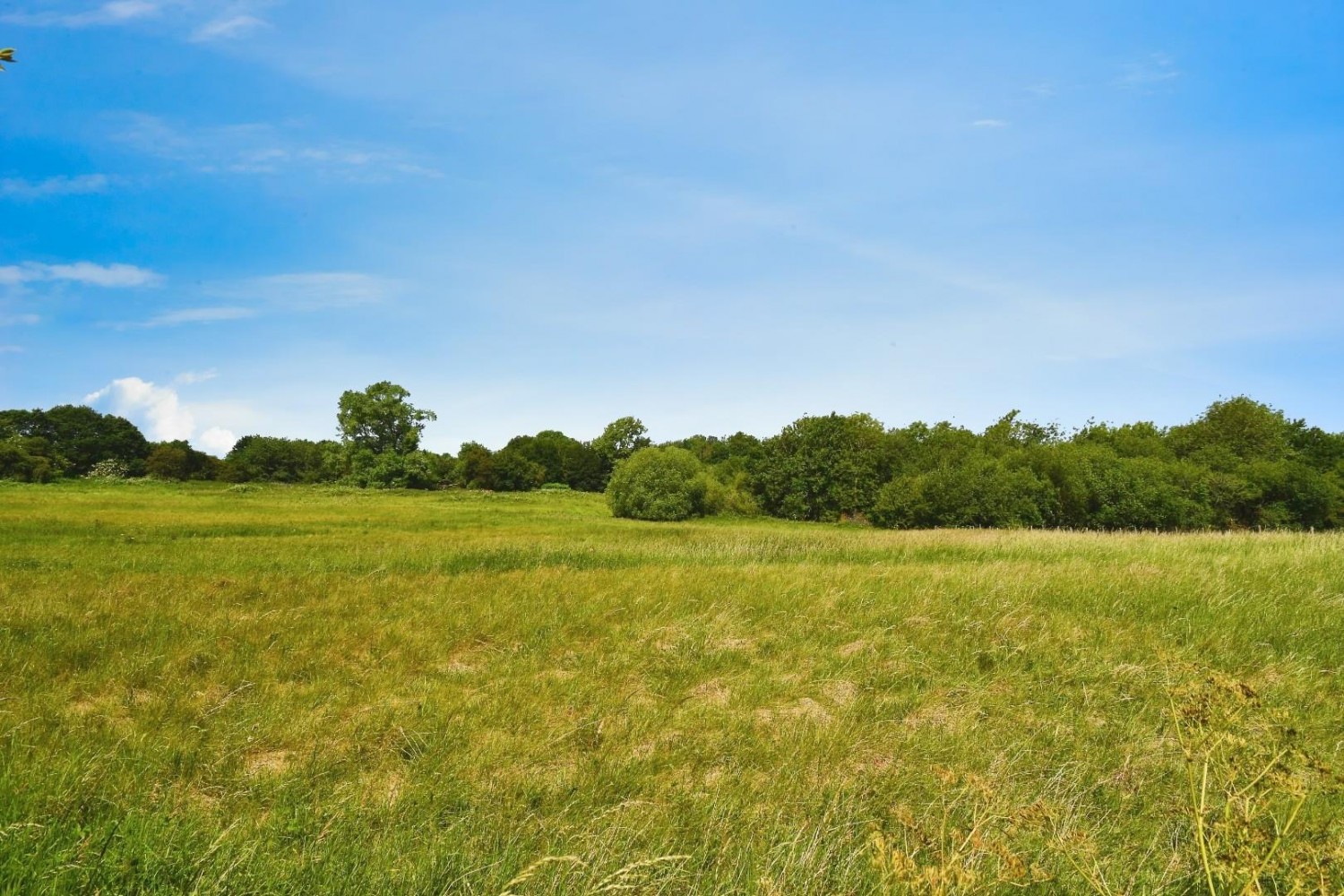 Whitcliffe Lane, Ripon
