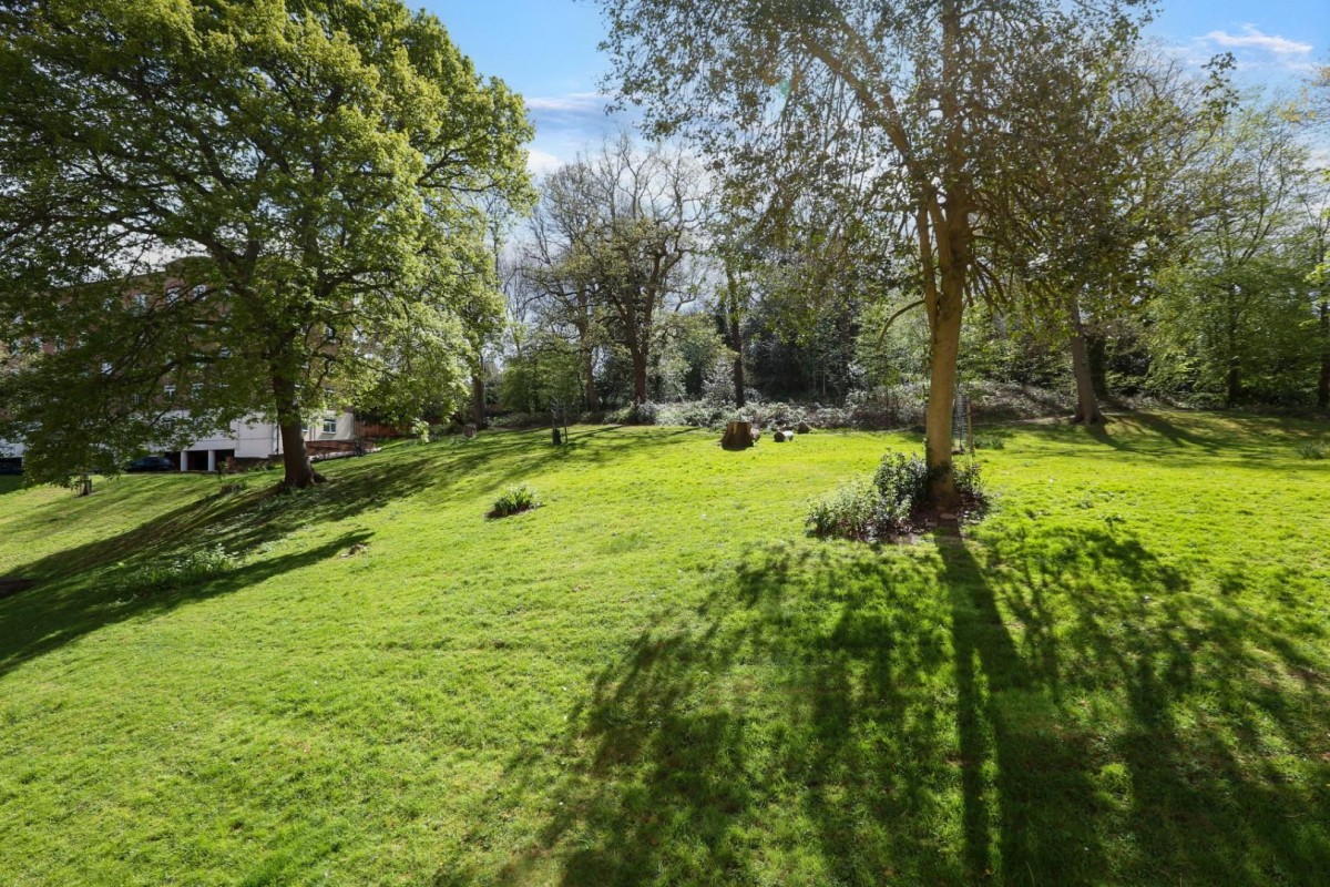 Sydenham Hill, London