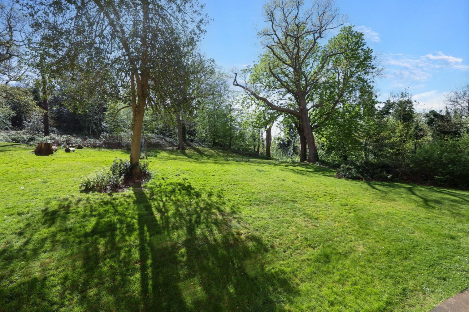 Sydenham Hill, London