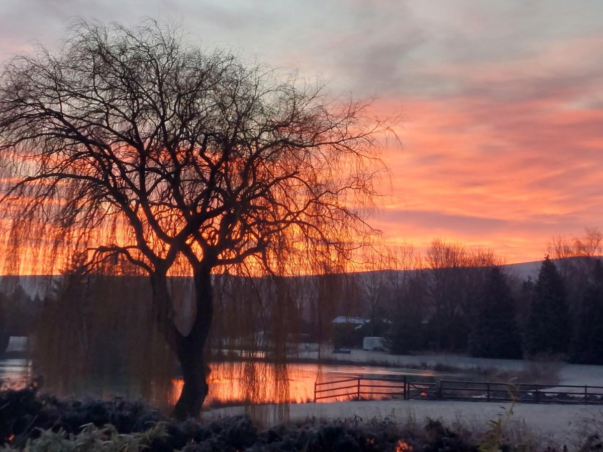 Hartop Close, Ivinghoe Aston