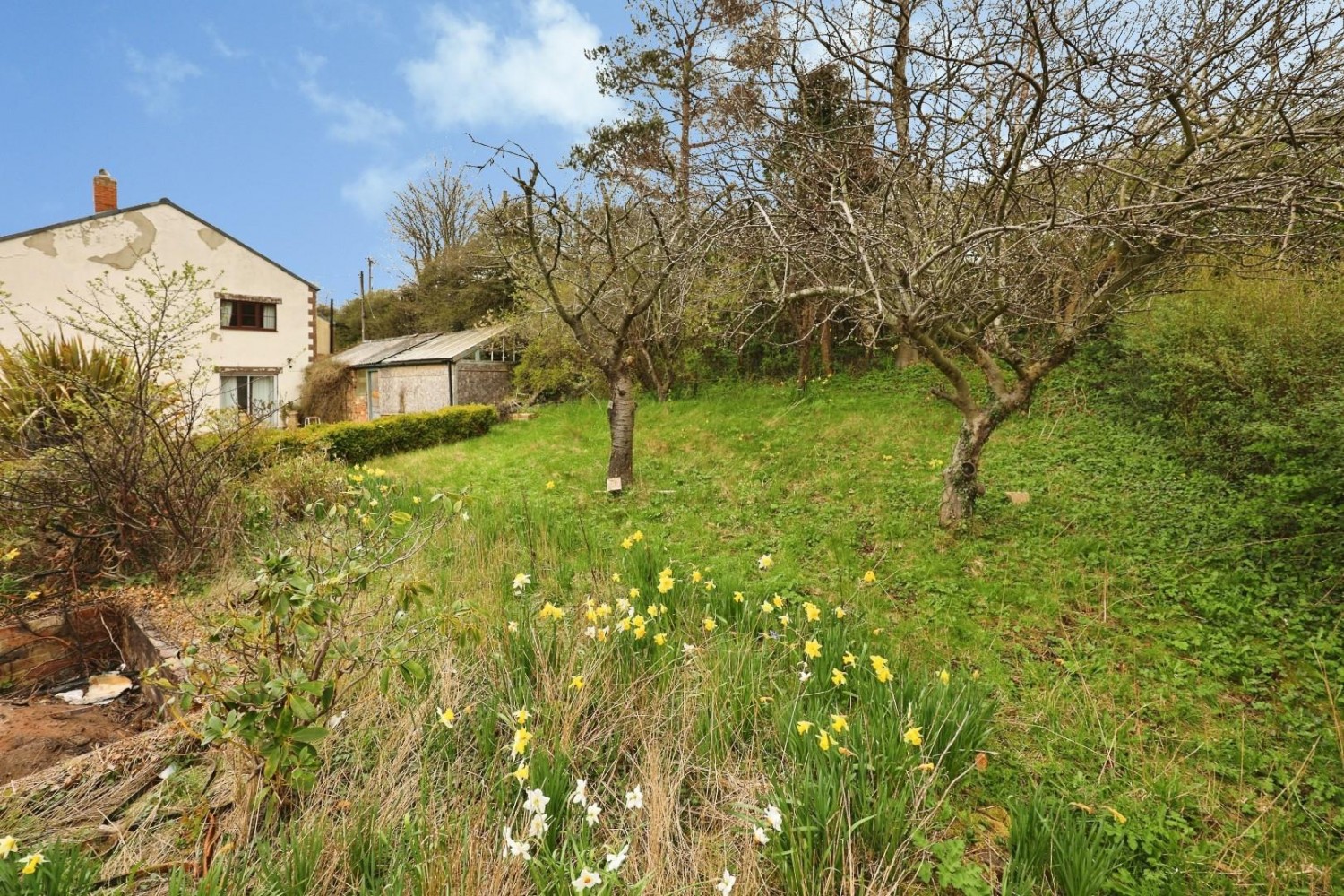 Springbank Road, Newfield, Bishop Auckland, DL14 8DE