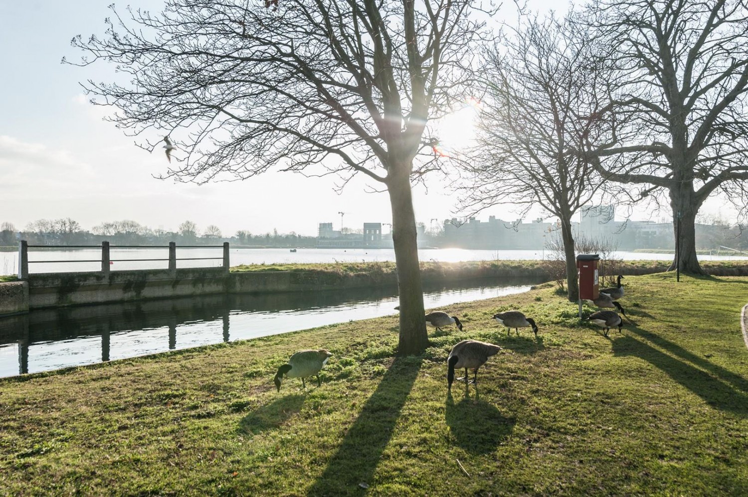 Coster Avenue, London, N4
