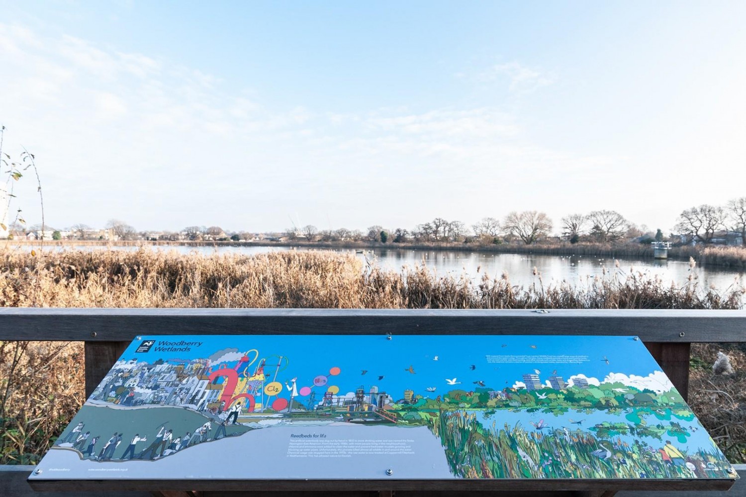 Coster Avenue, London, N4