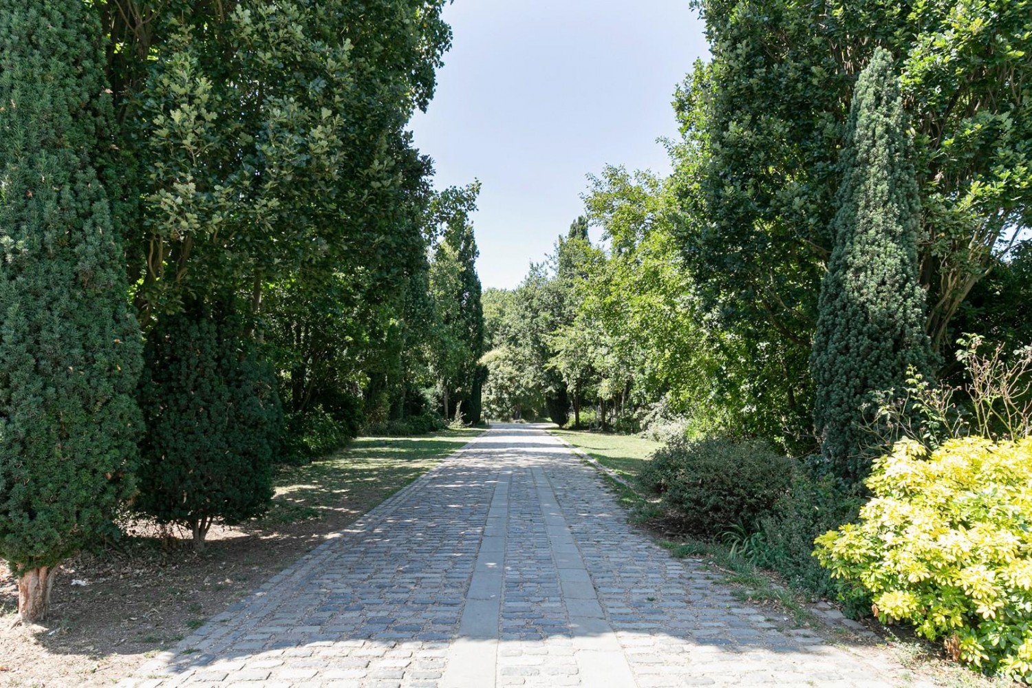 Collison Place, Manor Road, London, N16