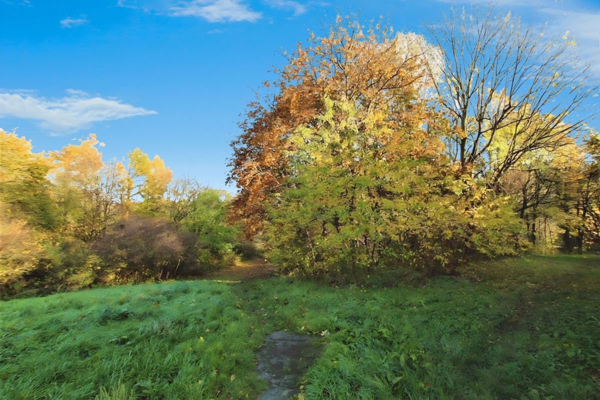 Colley Drive, Parson Cross, S5