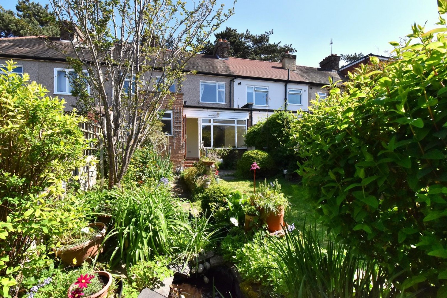 White Horse Hill, Chislehurst