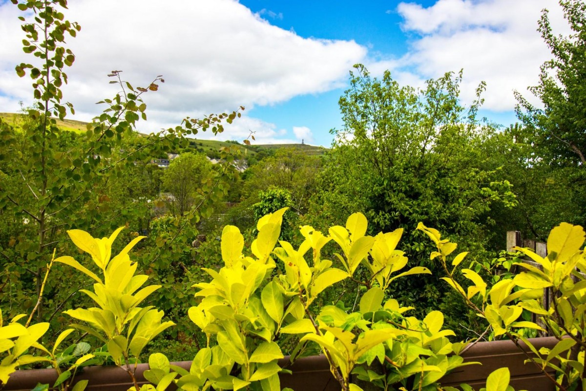 The Sidings, Darwen