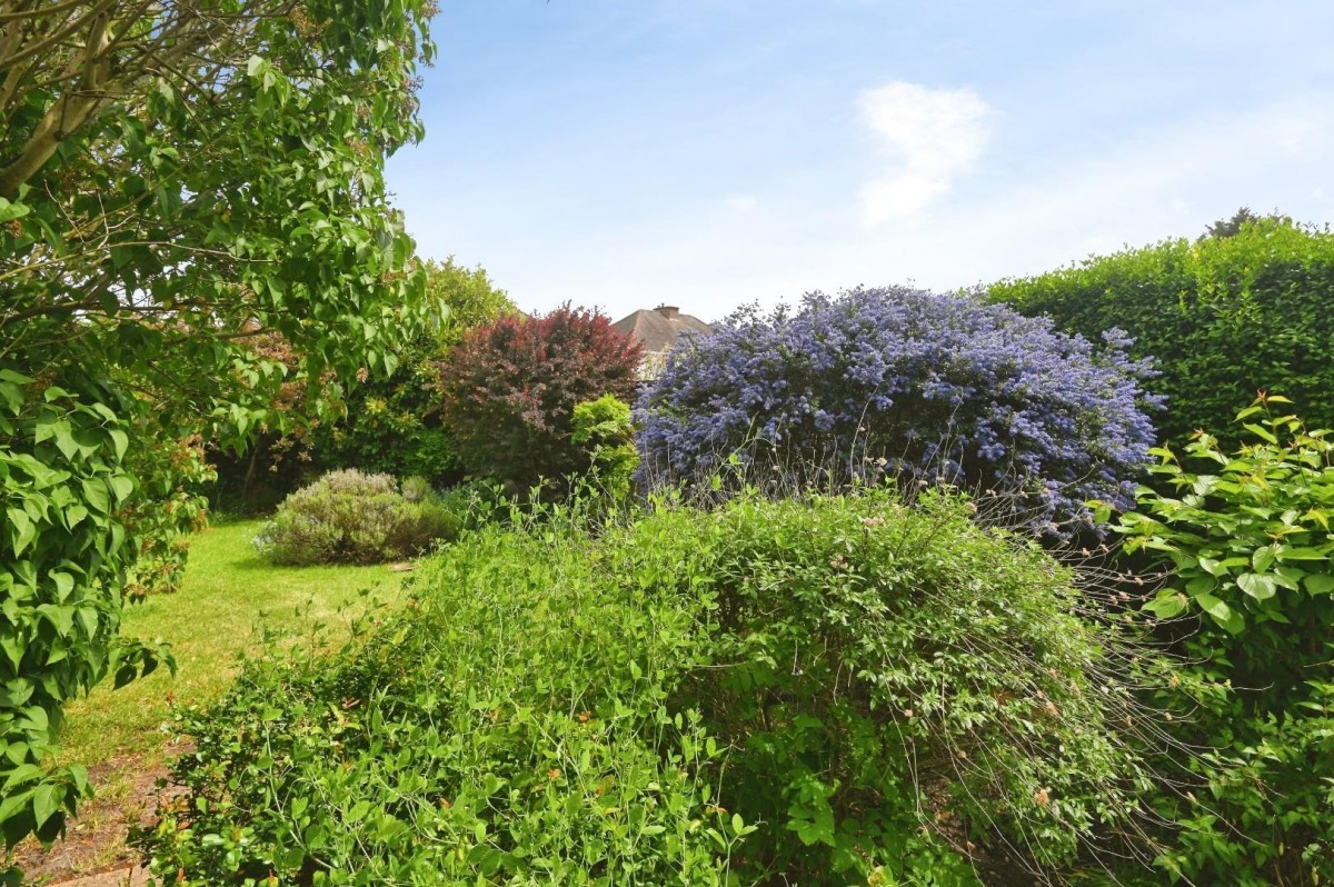 Wigginton Road, Tamworth