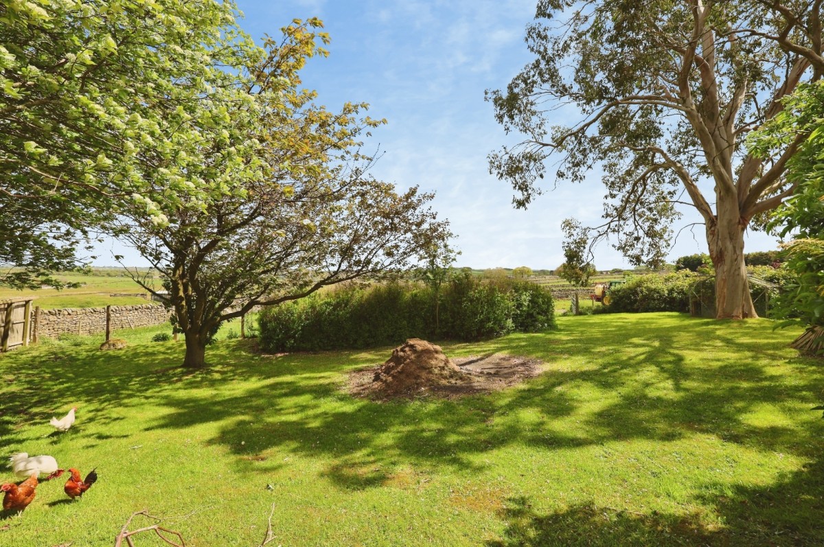 Manor Grove, Cockfield, Bishop Auckland