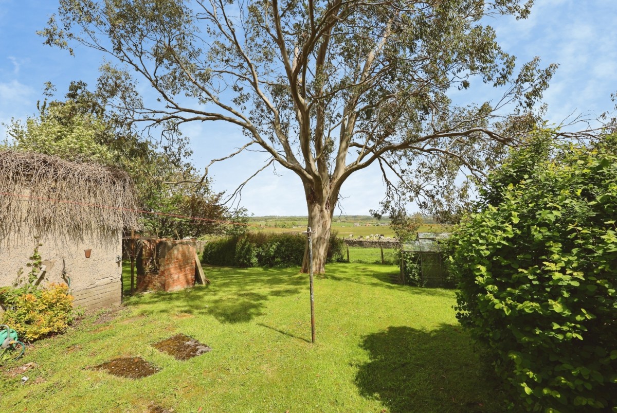 Manor Grove, Cockfield, Bishop Auckland
