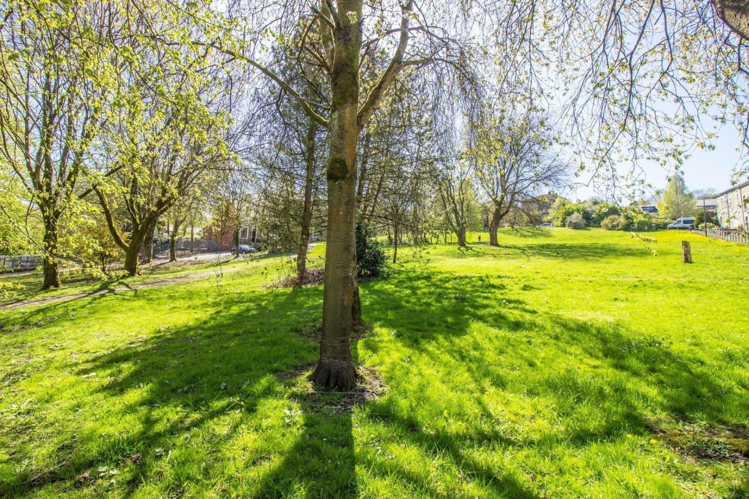 Radfield Avenue Darwen BB32SW